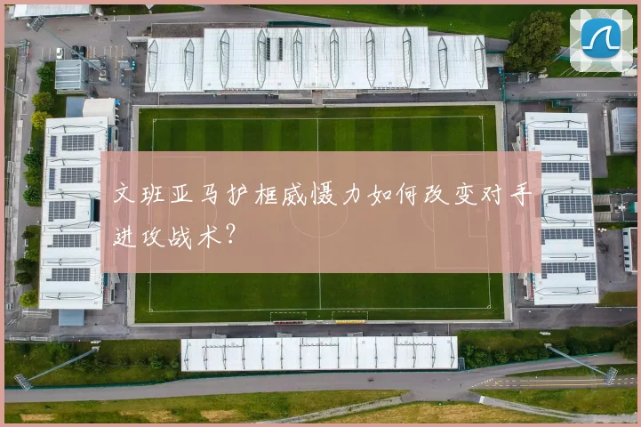 文班亚马护框威慑力如何改变对手进攻战术？