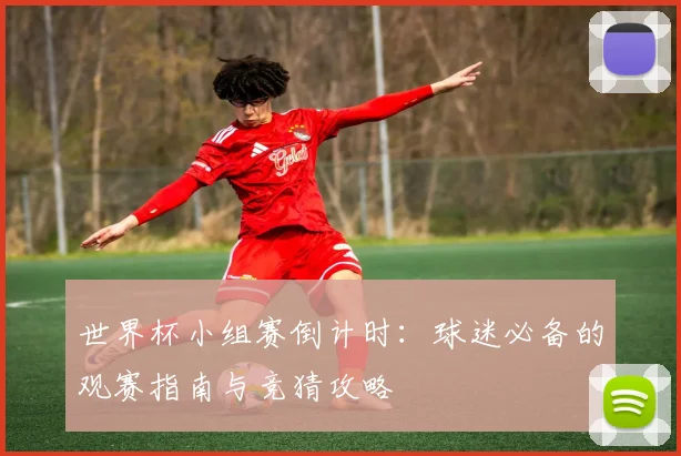 世界杯小组赛倒计时：球迷必备的观赛指南与竞猜攻略
