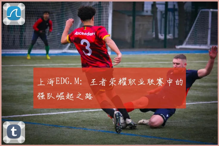 上海EDG.M：王者荣耀职业联赛中的强队崛起之路