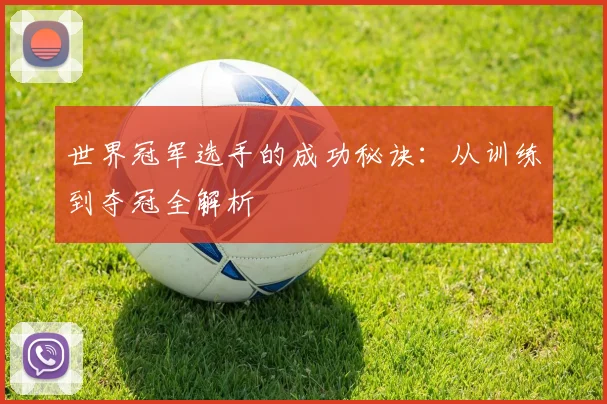 世界冠军选手的成功秘诀：从训练到夺冠全解析