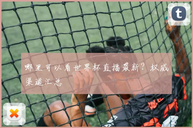 哪里可以看世界杯直播最新？权威渠道汇总