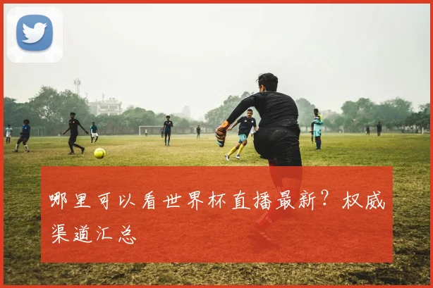 哪里可以看世界杯直播最新？权威渠道汇总