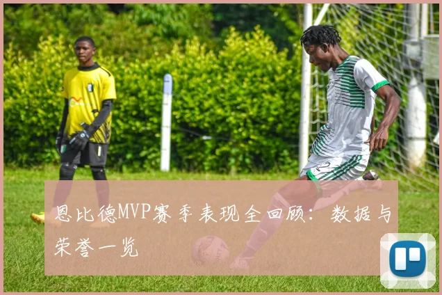 恩比德MVP赛季表现全回顾：数据与荣誉一览